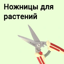 Ножницы для растений