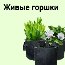 Живые горшки