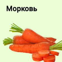 Семена моркови