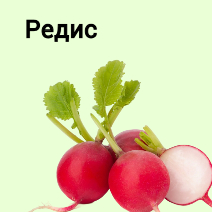 Семена редиса