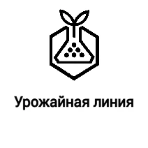 Урожайная линия