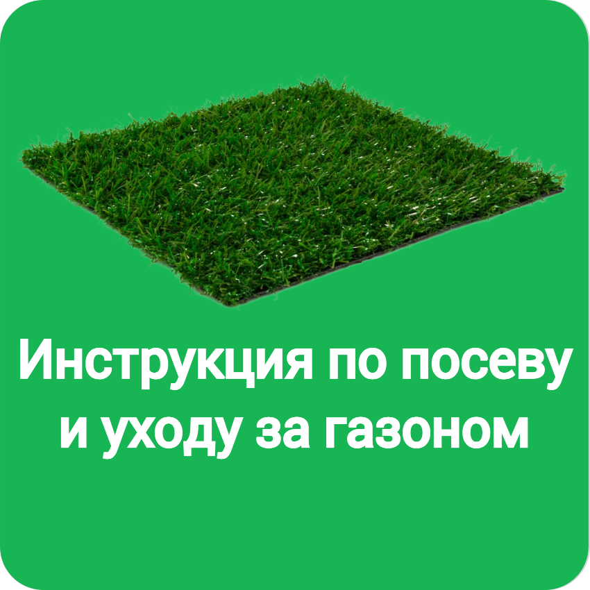 Инструкция по посеву и уходу за газоном