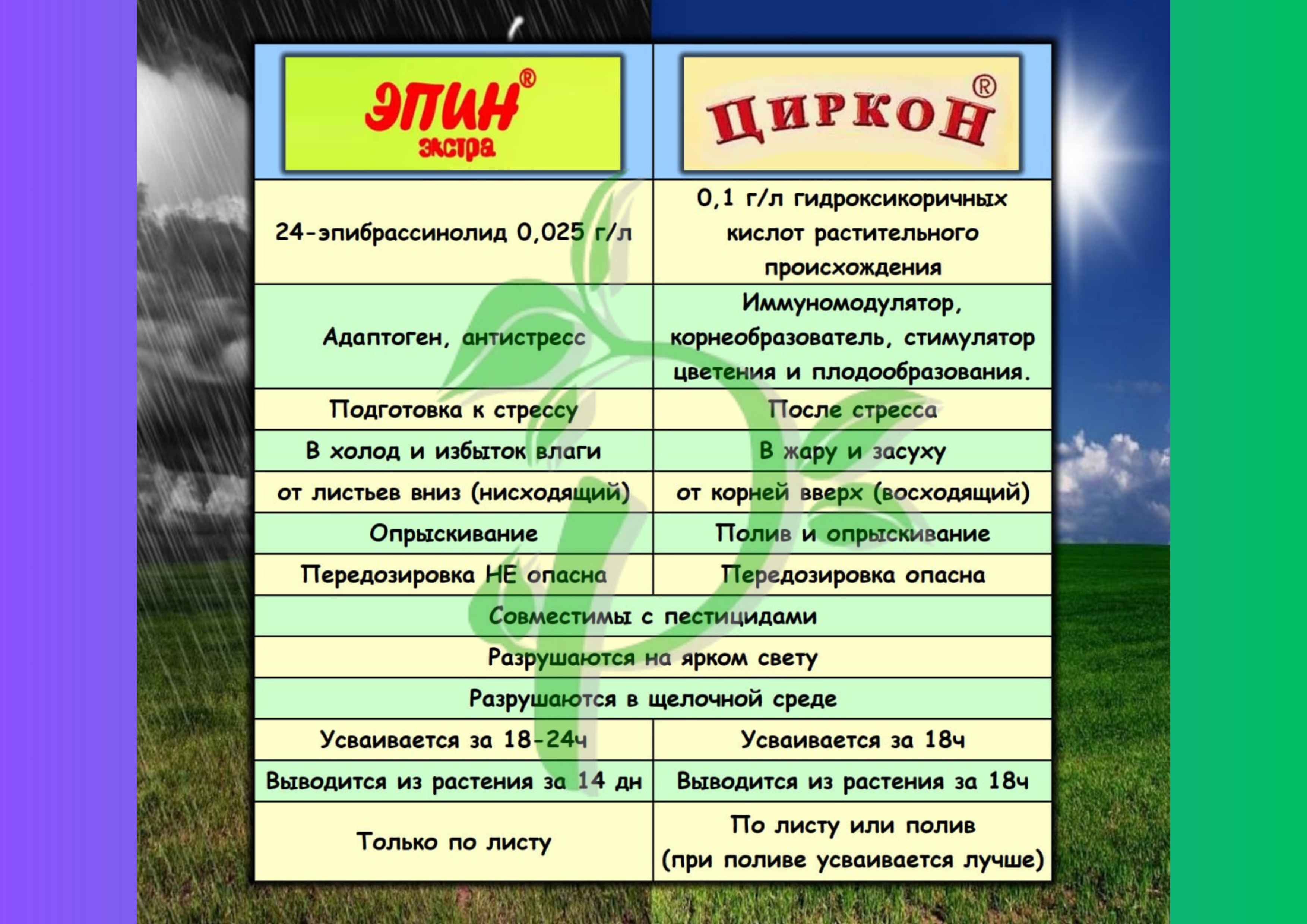 Эпин и Циркон