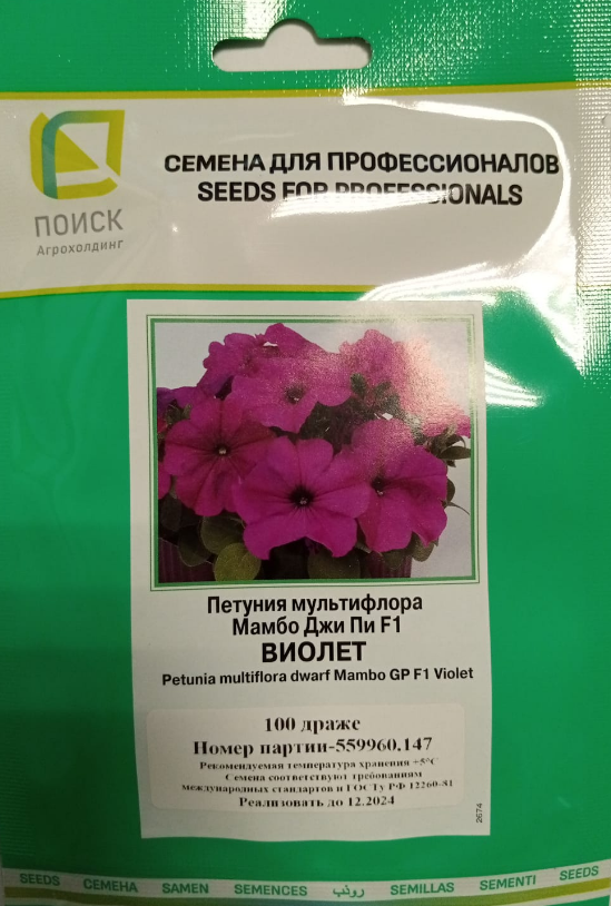Мультифлора мамбо джи пи. Петуния мамбо джи пи виолет. петуния пендолино пале дарк. петуния микрофлора мамбо джи пи. эустома загадка f1.