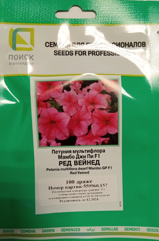 Мультифлора мамбо джи пи. Петуния грандифлора лимбо джи пи ред вейнед. петуния лимбо ред вейнед. петуния лимбо роуз вейнед. петуния синдерелла ред вейнед.