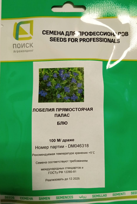 Лобелия прямостоячая Палас Блю 100 шт ПОИСК купить в РастишкаТЛТ