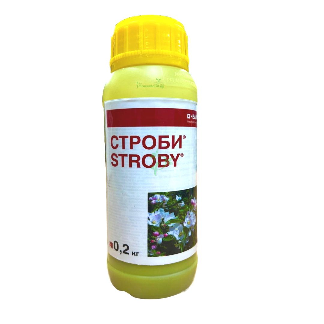 СтробиBasf