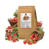 ZION Цион для клубники Крафтовый мешок 2,3 кг