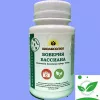 Боверия Бассиана Биоисектицид 80 г