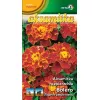 Бархатцы узколистные Болеро LOBELIA II 1 г