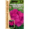Пеларгония грандифлора Маверик Виолет F1 3 шт РЕДКИЕ СЕМЕНА