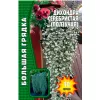 Дихондра Серебристая ползучая 10 шт РЕДКИЕ СЕМЕНА