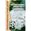 Пеларгония грандифлора  Маверик Вайт F1 3 шт РЕДКИЕ СЕМЕНА