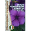 Катарантус розовидный OCEAN LIGHT BLUE 5 шт РЕДКИЕ СЕМЕНА