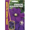Клематис Цельнолистный 5 шт РЕДКИЕ СЕМЕНА