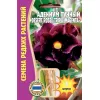 Адениум тучный DESERT ROSE TRIPLE MAGENTA 3 шт РЕДКИЕ СЕМЕНА