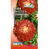 Астра княжеская красная LOBELIA II 1 г