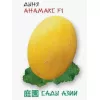 Дыня Анамакс F1 5 шт Сады Азии