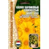 Космос Карпет Голд карликовый серножелтый 5 шт РЕДКИЕ СЕМЕНА
