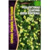 Роза кустовая Ксантина 10 шт РЕДКИЕ СЕМЕНА