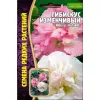 Гибискус Изменчивый 10 шт РЕДКИЕ СЕМЕНА