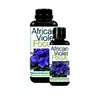 GT AFRICAN VIOLET FOCUS для фиалок