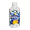 T.A. CALCIUM MAGNESIUM кальций магний