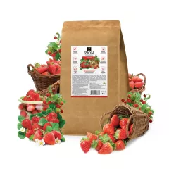 ZION Цион для клубники Крафтовый мешок 2,3 кг