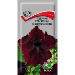 Петуния гибридная Софистика Блекберри 5 шт ПОИСК