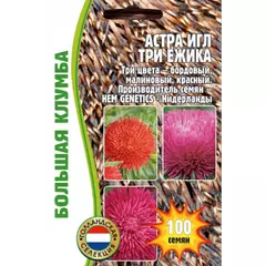 Астра игл Три Ёжика 100 шт РЕДКИЕ СЕМЕНА
