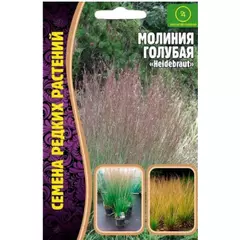 Молиния голубая HEIDEBRAUT  20 шт РЕДКИЕ СЕМЕНА