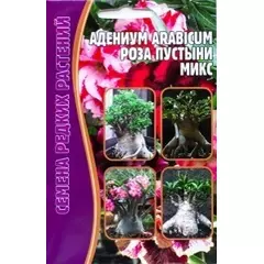 Адениум ARABICUM Роза пустыни смесь 3 шт РЕДКИЕ СЕМЕНА