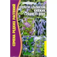 Клематис альпийский Княжик  FRANCES RIVIS  3 шт РЕДКИЕ СЕМЕНА