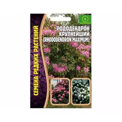 Рододендрон крупнейший 0,01 г РЕДКИЕ СЕМЕНА