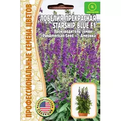 Лобелия Старшип Блю прекрасная 3 шт РЕДКИЕ СЕМЕНА