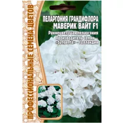 Пеларгония грандифлора  Маверик Вайт F1 3 шт РЕДКИЕ СЕМЕНА