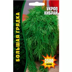 Укроп Кибрай  2500 шт РЕДКИЕ СЕМЕНА