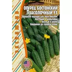 Огурец Бостонский Засолочный F1 15 шт (США) РЕДКИЕ СЕМЕНА