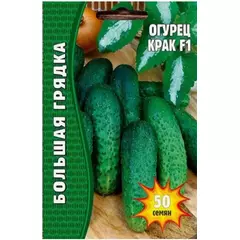 Огурец Крак F1 50 шт Польша РЕДКИЕ СЕМЕНА