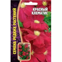 Клематис Красный 3 шт РЕДКИЕ СЕМЕНА