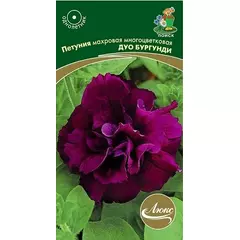 Петуния махровая многоцветковая Дуо Бургунди 10 шт ПОИСК