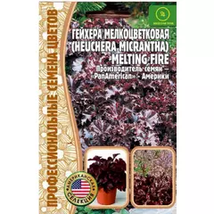 Гейхера Милтинг Файер мелкоцветковая 5 шт РЕДКИЕ СЕМЕНА