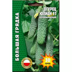 Огурец Юлиан F1 самоопыляемый Польша 30 шт РЕДКИЕ СЕМЕНА