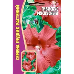 Гибискус Мускусный 5 шт РЕДКИЕ СЕМЕНА