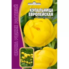 Купальница Европейская 20 шт РЕДКИЕ СЕМЕНА