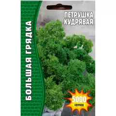 Петрушка Кудрявая 5000 шт РЕДКИЕ СЕМЕНА