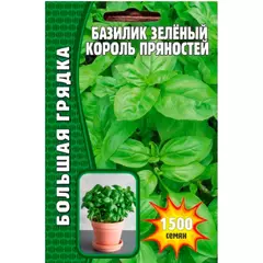 Базилик зелёный Король Пряностей 1500 шт РЕДКИЕ СЕМЕНА