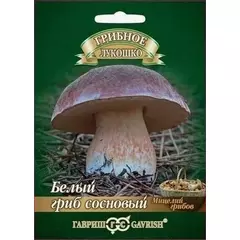 Белый Гриб Сосновый на зерновом  субстрате 15 мл