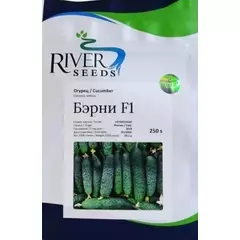 Огурец Бэрни F1 10 шт RIVER SEEDS