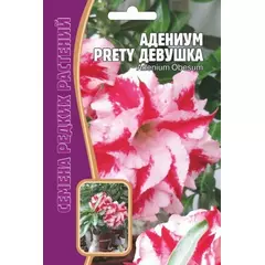 Адениум Прелестная девушка 3 шт РЕДКИЕ СЕМЕНА